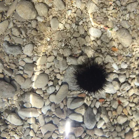 Maria Bed & Breakfast Lovran