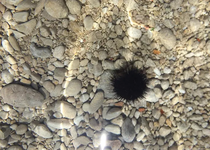 Maria Panzió Lovran